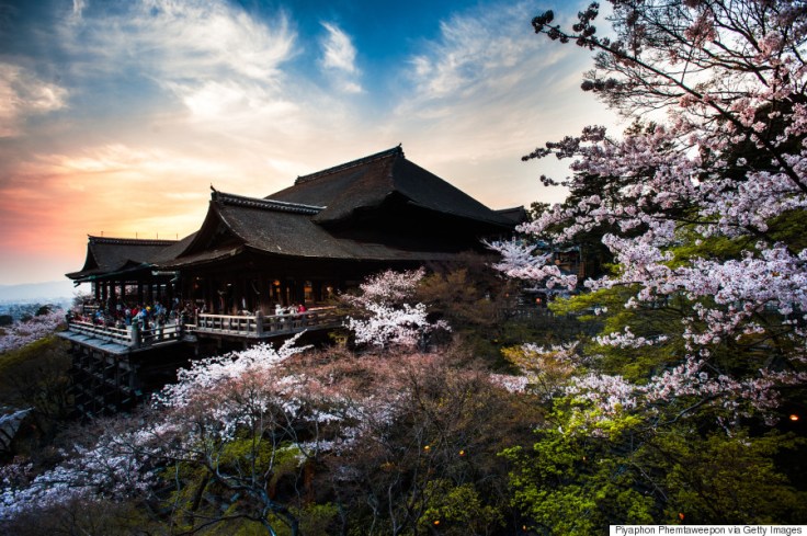 Kiyomizudera Temple Cherry Blossoms
